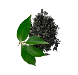 Healthy Green Tea