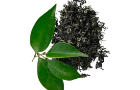 Healthy Green Tea
