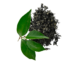 Healthy Green Tea